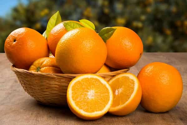 تصویر 2 از خرید پرتقال تامسون شمال + قیمت فروش استثنایی
